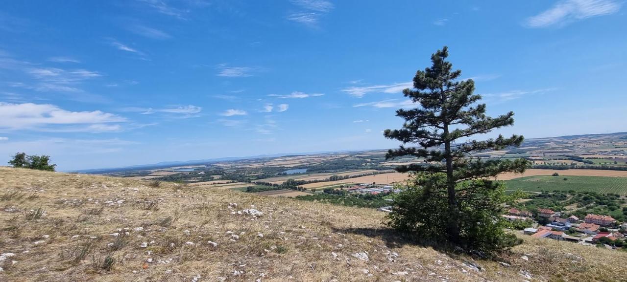 Apartman Viktorie Mikulov Zewnętrze zdjęcie